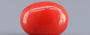 Italian Red Coral - 3.23 Carat Limited Quality CC-5805