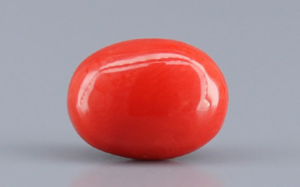 Italian Red Coral - 3.23 Carat Limited Quality CC-5805
