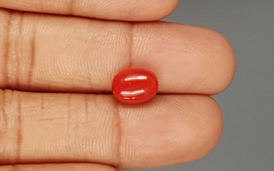 Italian Red Coral - 3.23 Carat Limited Quality CC-5805