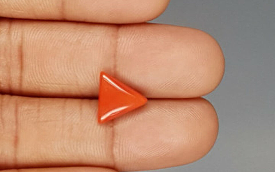 Red Coral - 3.25 Carat (3.59 Ratti - Moonga)