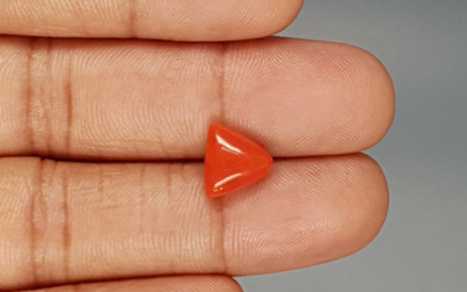 Red Coral - 3.27 Carat (3.61 Ratti - Moonga)