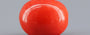 Red Coral - 3.28 Carat (3.62 Ratti - Moonga)