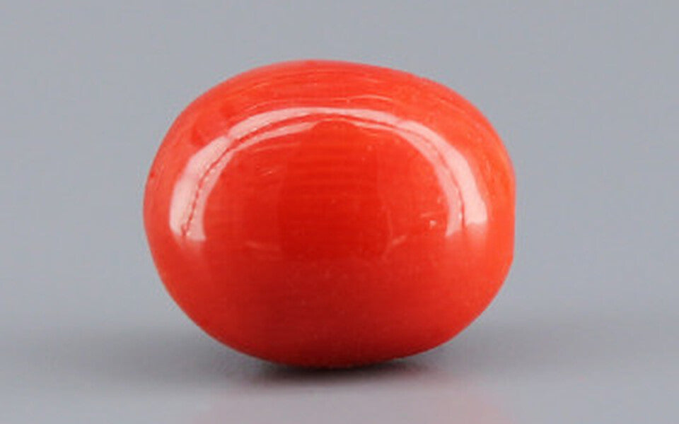 Red Coral - 3.28 Carat (3.62 Ratti - Moonga)