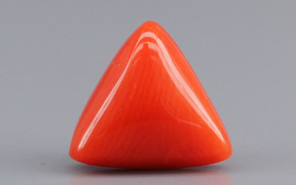 Red Coral - 3.28 Carat (3.62 Ratti - Moonga)