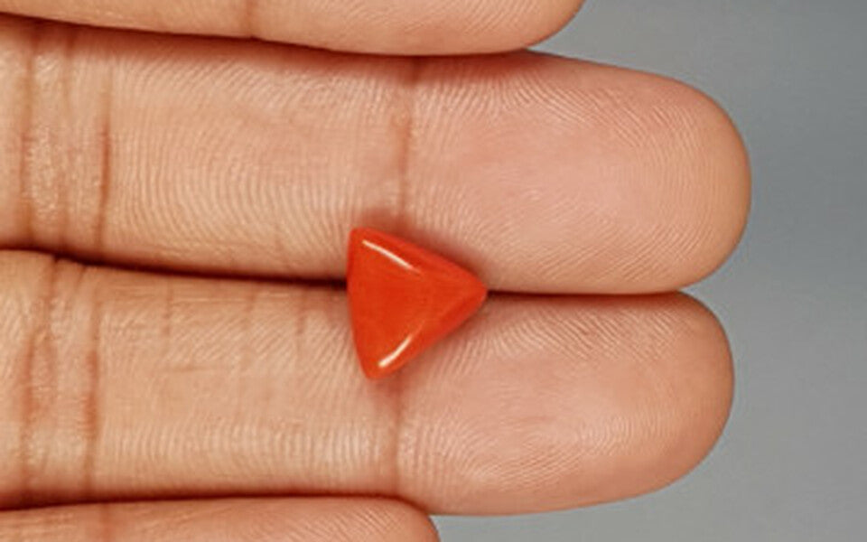 Red Coral - 3.28 Carat (3.62 Ratti - Moonga)