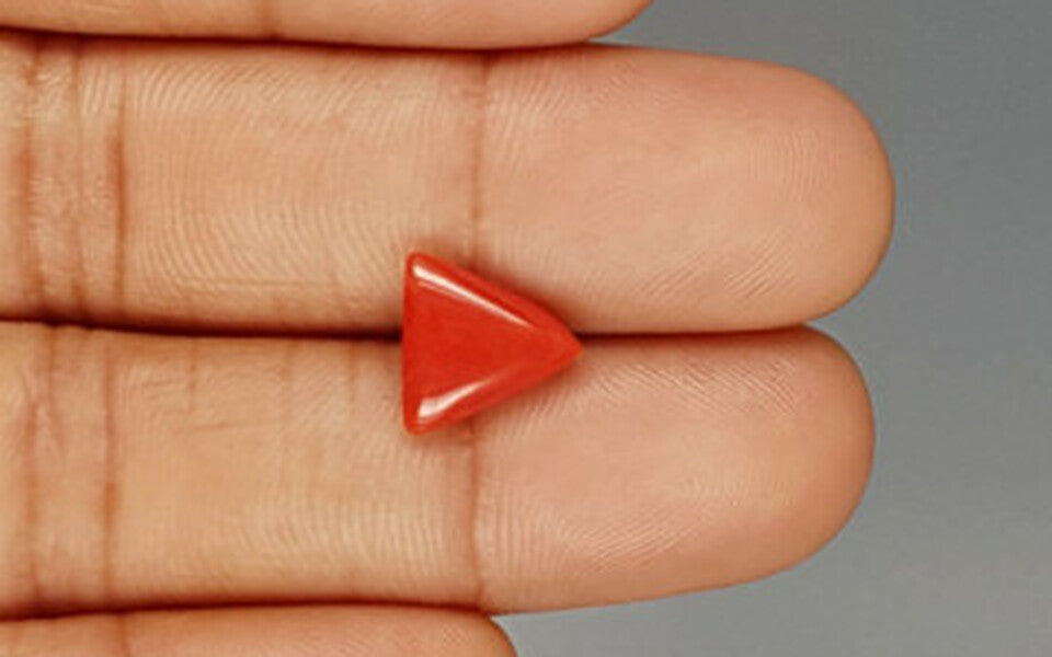 Red Coral - 3.30 Carat (3.65 Ratti - Moonga)