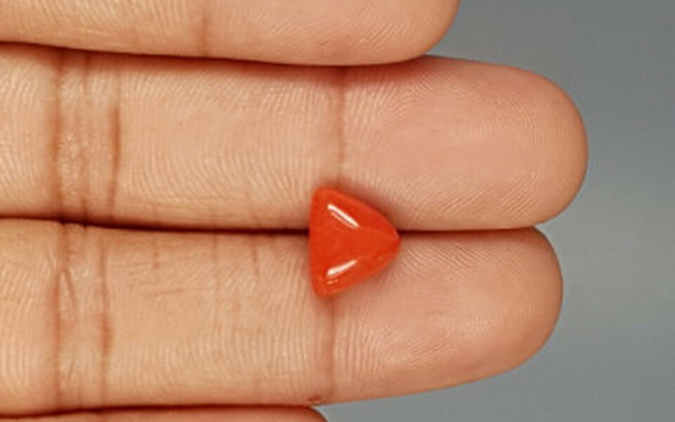 Red Coral - 3.31 Carat (3.66 Ratti - Moonga)