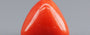 Red Coral - 3.31 Carat (3.66 Ratti - Moonga)