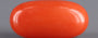 Red Coral - 3.31 Carat (3.66 Ratti - Moonga)