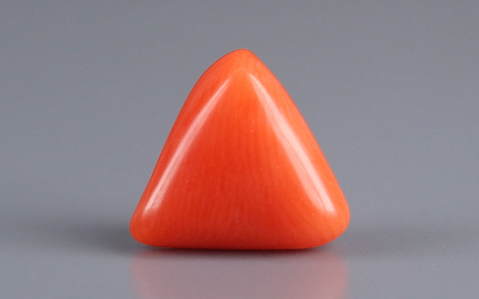 Red Coral - 3.32 Carat (3.67 Ratti - Moonga)