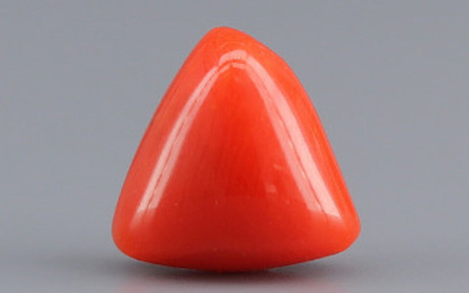 Red Coral - 3.37 Carat (3.72 Ratti - Moonga)