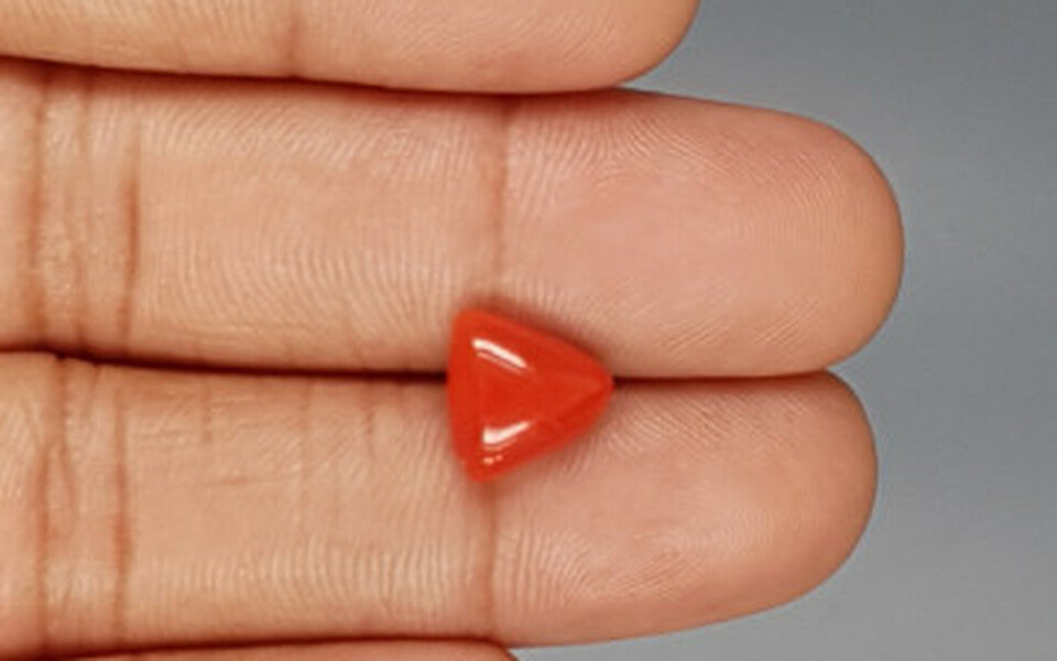 Red Coral - 3.37 Carat (3.72 Ratti - Moonga)