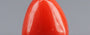 Red Coral - 3.38 Carat (3.73 Ratti - Moonga)