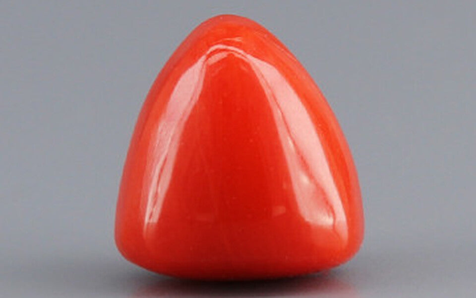 Red Coral - 3.38 Carat (3.73 Ratti - Moonga)