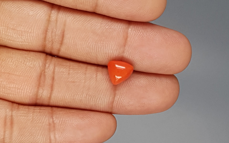 Italian Red Coral - 3.38 Carat Limited Quality TC-5273