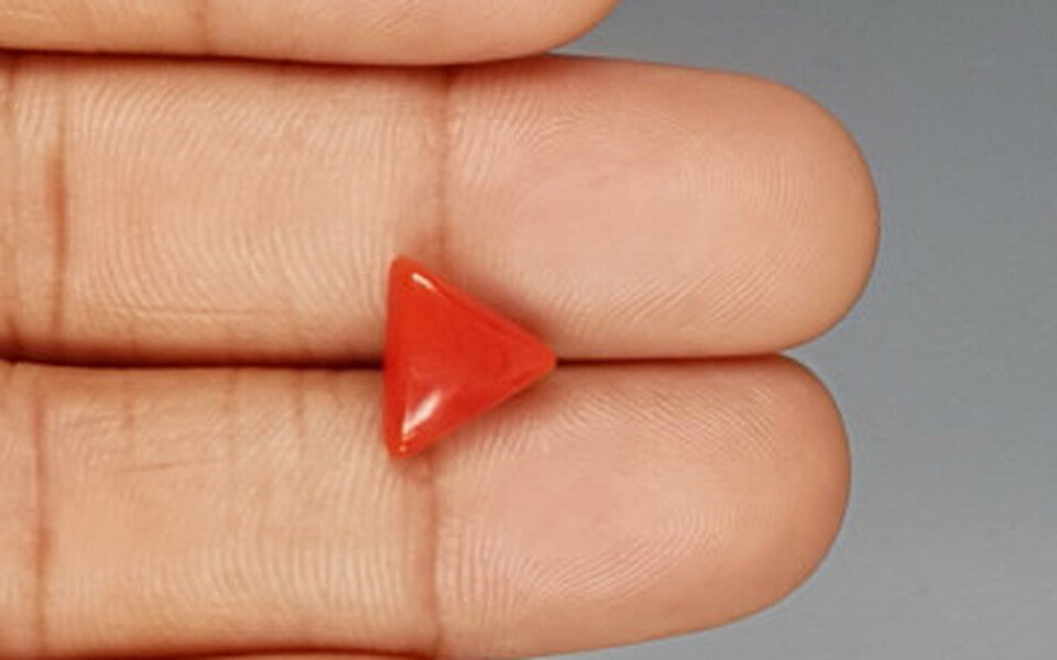 Red Coral - 3.38 Carat (3.73 Ratti - Moonga)