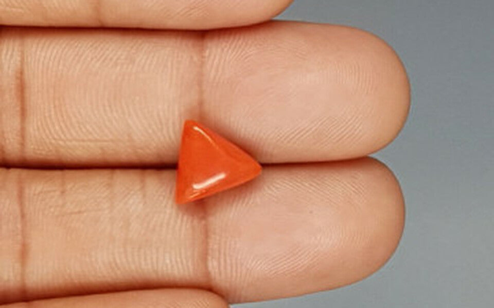 Red Coral - 3.38 Carat (3.73 Ratti - Moonga)