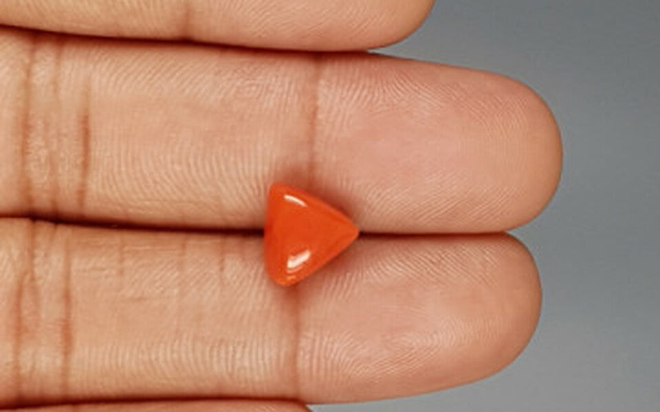 Red Coral - 3.39 Carat (3.75 Ratti - Moonga)