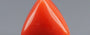 Red Coral - 3.39 Carat (3.75 Ratti - Moonga)
