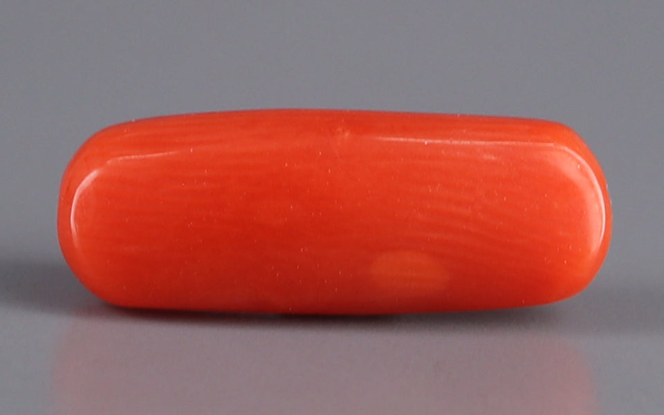 Red Coral - 3.40 Carat (3.76 Ratti - Moonga)