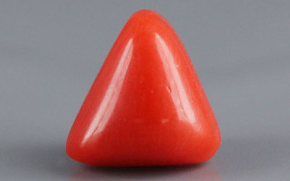 Red Coral - 3.41 Carat (3.77 Ratti - Moonga)