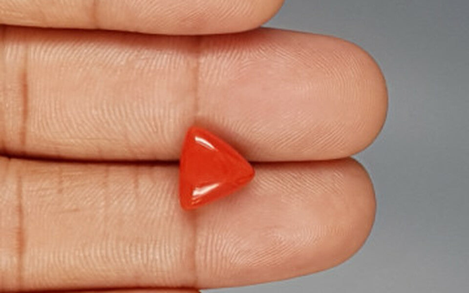 Red Coral - 3.48 Carat (3.85 Ratti - Moonga)
