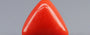 Red Coral - 3.48 Carat (3.85 Ratti - Moonga)