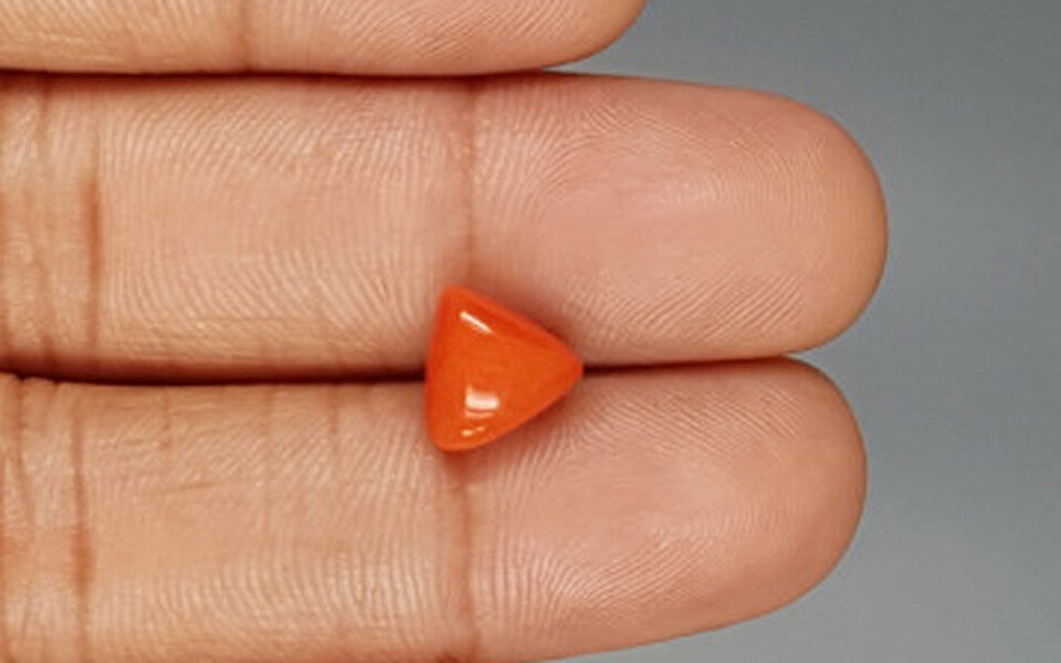 Red Coral - 3.50 Carat (3.87 Ratti - Moonga)