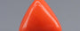 Red Coral - 3.50 Carat (3.87 Ratti - Moonga)