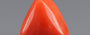 Italian Red Coral - 3.59 Carat Limited Quality TC-5262