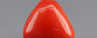 Italian Red Coral - 3.6 Carat Limited Quality TC-5267