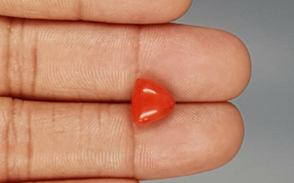 Italian Red Coral - 3.6 Carat Limited Quality TC-5267