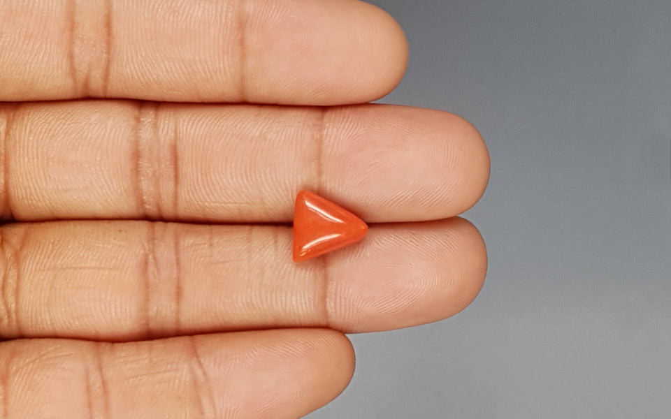 Red Coral - 3.62 Carat (4.00 Ratti - Moonga)