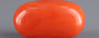 Red Coral - 3.68 Carat (4.07 Ratti - Moonga)