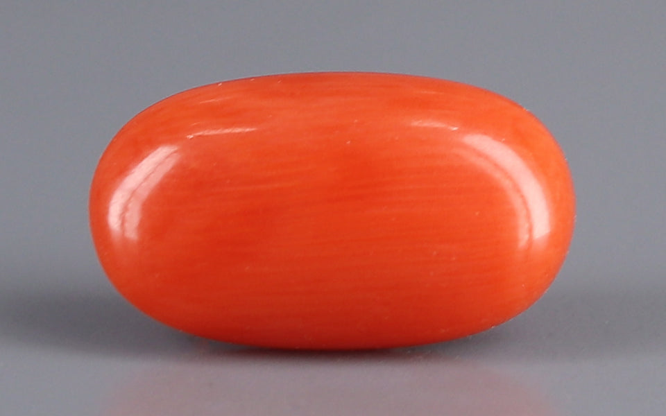 Red Coral - 3.68 Carat (4.07 Ratti - Moonga)