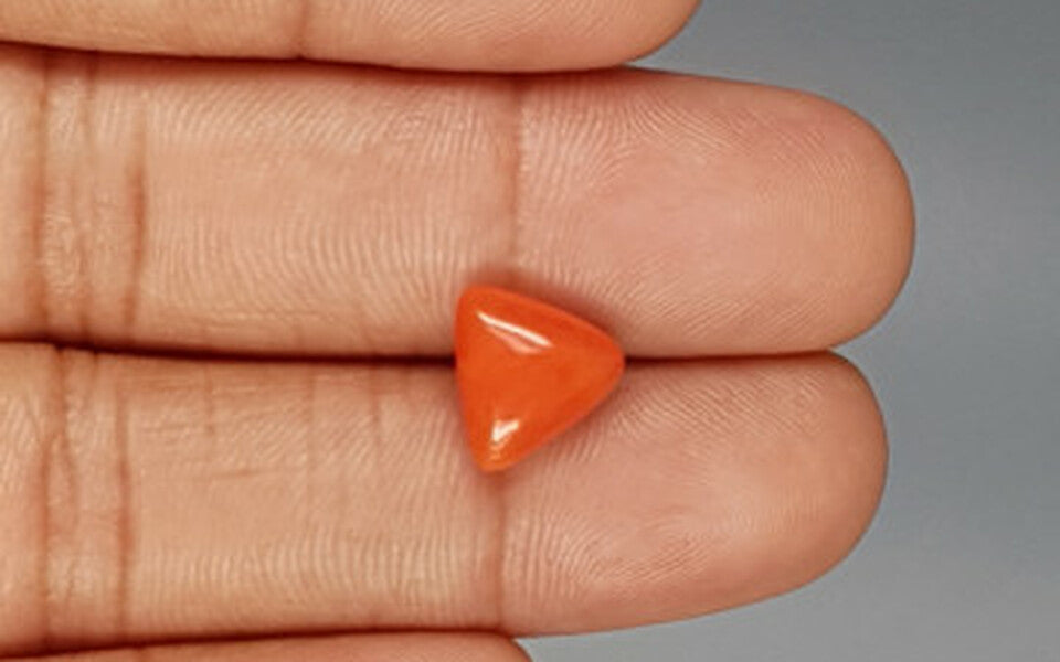 Red Coral - 3.70 Carat (4.09 Ratti - Moonga)