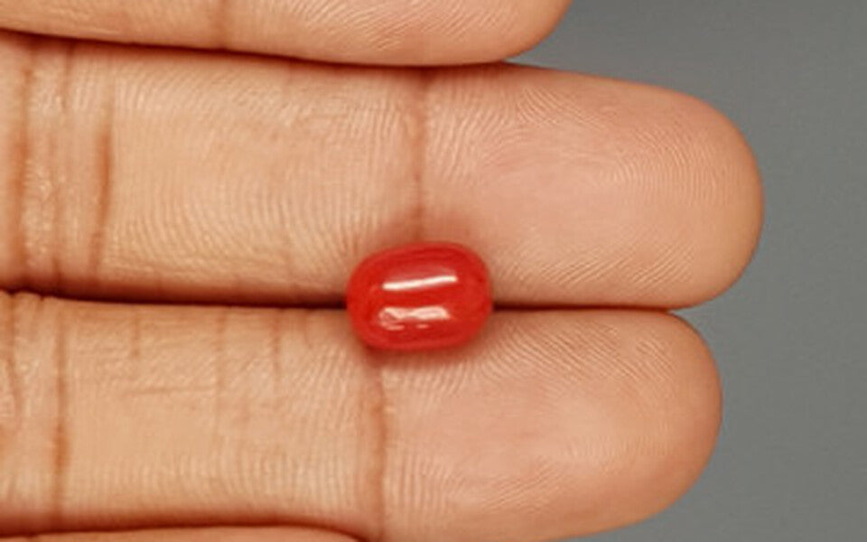 Red Coral - 3.71 Carat (4.10 Ratti - Moonga)
