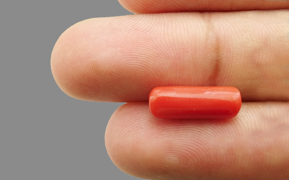 Red Coral - 3.76 Carat (4.15 Ratti - Moonga)