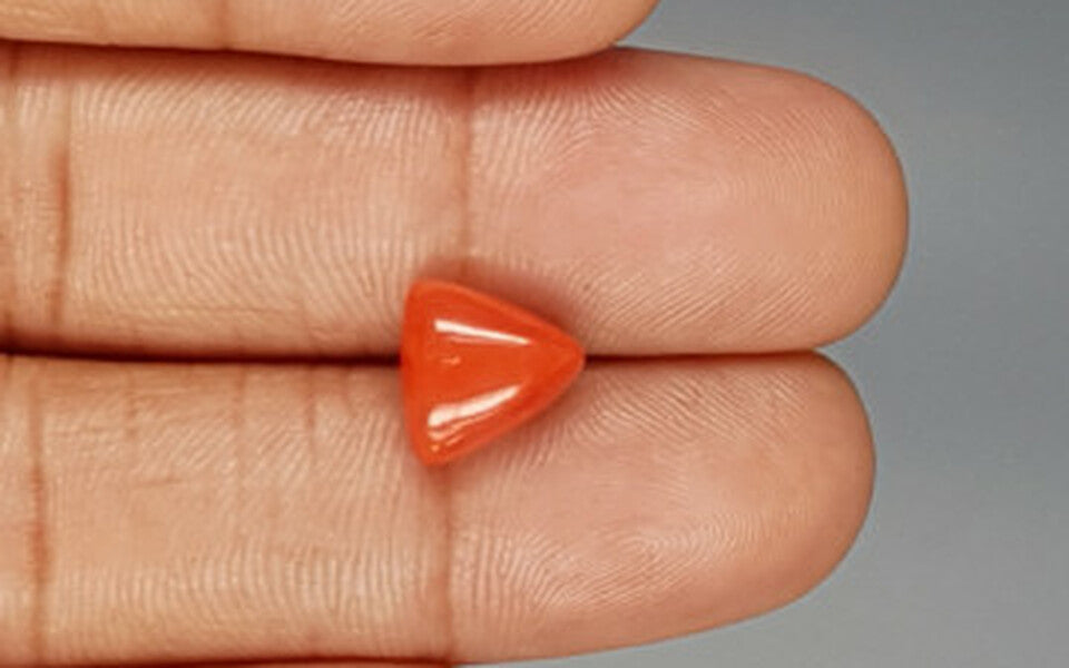 Red Coral - 3.82 Carat (4.22 Ratti - Moonga)