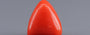 Italian Red Coral - 3.85 Carat Limited Quality TC-5264