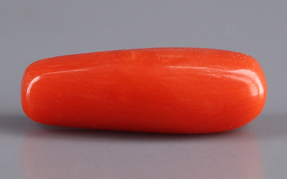 Italian Red Coral - 3.88 Carat Fine Quality CC-5548