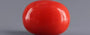 Red Coral - 3.88 Carat (4.29 Ratti - Moonga)