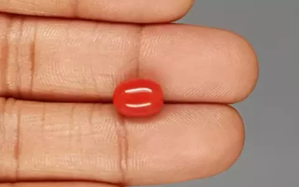 Red Coral - 3.88 Carat (4.29 Ratti - Moonga)