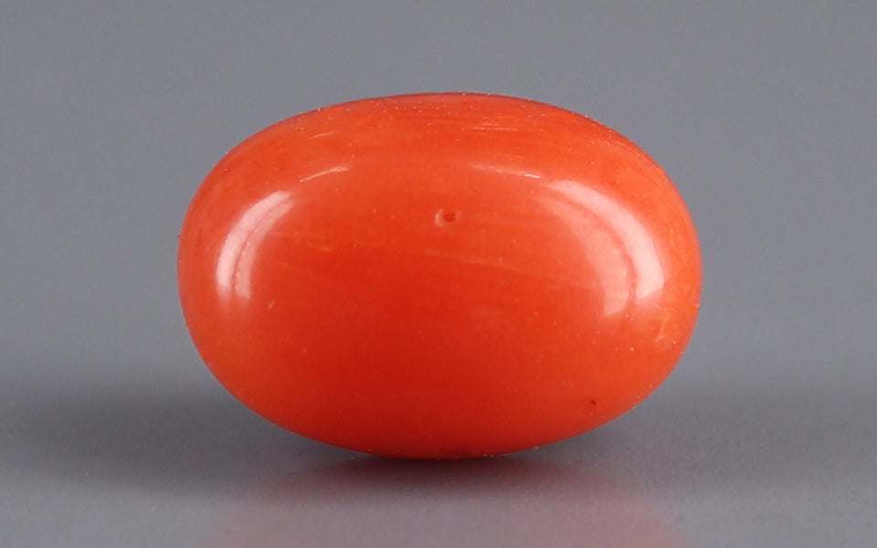 Italian Red Coral - 3.89 Carat Limited Quality CC-5568