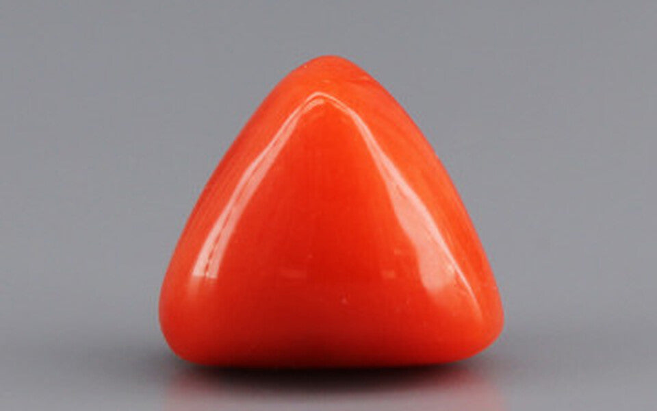 Italian Red Coral - 3.9 Carat Limited Quality TC-5269