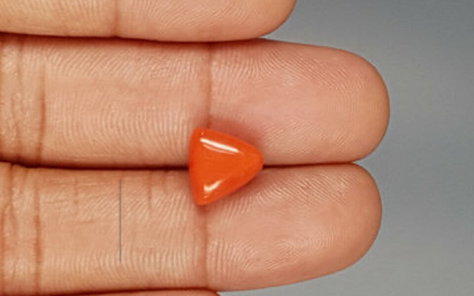 Italian Red Coral - 3.91 Carat Limited Quality TC-5263