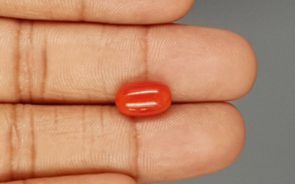 Red Coral - 3.94 Carat (4.35 Ratti - Moonga)