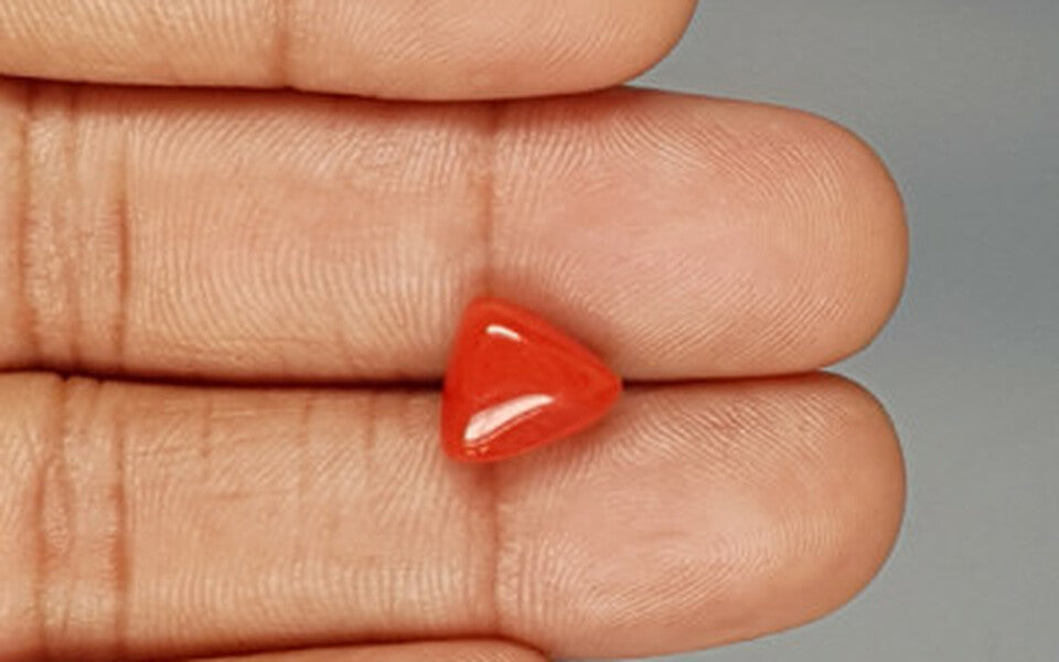 Red Coral - 3.95 Carat (4.36 Ratti - Moonga)