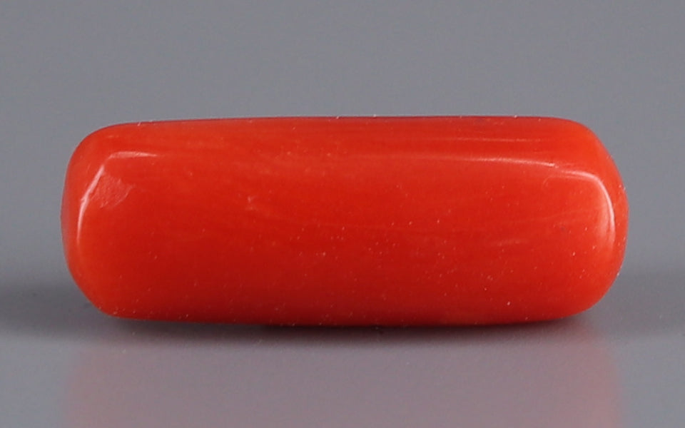 Italian Red Coral - 3.97 Carat Fine Quality CC-5608