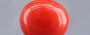 Red Coral - 3.97 Carat (4.39 Ratti - Moonga)
